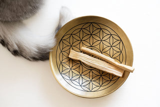 flower of life plate with palo santo sticks