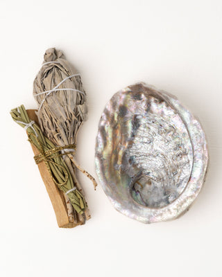 Abalone Schelp voor Smudge Bowls - Medium