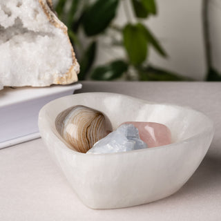 Seleniet Schaaltje Hart - Reinigen + Opladen
